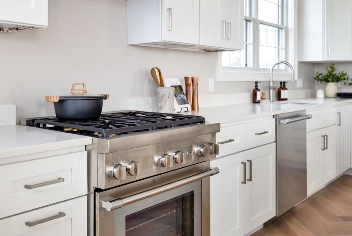 Professional gas range